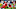 Buffalo Bills Buffalo Bills