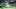 Lavert Hill #24 of the Michigan Wolverines (Photo by Joe Robbins/Getty Images) Lavert Hill #24 of the Michigan Wolverines (Photo by Joe Robbins/Getty Images)