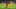 Liverpool Salzburg player ratings Liverpool Salzburg player ratings
