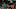 DraftKings DraftKings