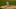 DraftKings