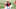 Cleveland Browns