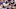 Chicago Bears, Le'Veon Bell Chicago Bears, Le'Veon Bell