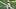Chicago Bears, Kyler Murray Chicago Bears, Kyler Murray