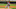 May 9, 2015; Chicago, IL, USA; Cincinnati Reds starting pitcher Johnny Cueto (47) delivers a pitch during the first inning in game one of a doubleheader against the Chicago White Sox at U.S Cellular Field. Mandatory Credit: Dennis Wierzbicki-USA TODAY Sports May 9, 2015; Chicago, IL, USA; Cincinnati Reds starting pitcher Johnny Cueto (47) delivers a pitch during the first inning in game one of a doubleheader against the Chicago White Sox at U.S Cellular Field. Mandatory Credit: Dennis Wierzbicki-USA TODAY Sports