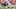 Sep 17, 2016; Louisville, KY, USA; Florida State Seminoles defensive back Tarvarus McFadden (4) knocks Louisville Cardinals running back Brandon Radcliff (23) out of bounds to prevent a touchdown during the second quarter at Papa John Sep 17, 2016; Louisville, KY, USA; Florida State Seminoles defensive back Tarvarus McFadden (4) knocks Louisville Cardinals running back Brandon Radcliff (23) out of bounds to prevent a touchdown during the second quarter at Papa John