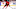 Ottawa Senators Ottawa Senators