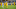 FUERTH, GERMANY – AUGUST 20: Marco Reus of Dortmund celebrates scoring the winning goal during the DFB Cup first round match between SpVgg Greuther Fuerth and BVB Borussia Dortmund at Sportpark Ronhof Thomas Sommer on August 20, 2018 in Fuerth, Germany. (Photo by Alexander Hassenstein/Bongarts/Getty Images) FUERTH, GERMANY – AUGUST 20: Marco Reus of Dortmund celebrates scoring the winning goal during the DFB Cup first round match between SpVgg Greuther Fuerth and BVB Borussia Dortmund at Sportpark Ronhof Thomas Sommer on August 20, 2018 in Fuerth, Germany. (Photo by Alexander Hassenstein/Bongarts/Getty Images)