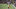 iowa hawkeyes iowa hawkeyes