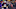 New England Patriots