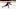 colorado avalanche colorado avalanche