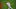 MLB
