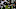 Oakland Raiders Oakland Raiders