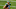 GREEN BAY, WISCONSIN – SEPTEMBER 20: Aaron Rodgers #12 of the Green Bay Packers jogs across the field after beating the Detroit Lions 42-21 at Lambeau Field on September 20, 2020 in Green Bay, Wisconsin. (Photo by Dylan Buell/Getty Images) GREEN BAY, WISCONSIN – SEPTEMBER 20: Aaron Rodgers #12 of the Green Bay Packers jogs across the field after beating the Detroit Lions 42-21 at Lambeau Field on September 20, 2020 in Green Bay, Wisconsin. (Photo by Dylan Buell/Getty Images)