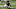 Buffalo Bills Buffalo Bills