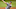 DraftKings DraftKings