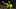 Borussia Dortmund midfielder Jude Bellingham Borussia Dortmund midfielder Jude Bellingham