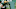 Green Bay Packers Green Bay Packers