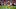 NFL NFL