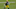 Green Bay Packers Green Bay Packers