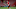 Tottenham transfer target Danny Ings Tottenham transfer target Danny Ings