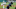 FanDuel MLB FanDuel MLB
