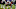New England Patriots New England Patriots