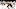 Boston Bruins Boston Bruins