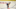 Golden State Warriors Golden State Warriors