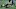 Notre Dame football