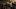 codename STEAM