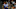 Minnesota Timberwolves, Zion Williamson Minnesota Timberwolves, Zion Williamson