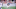 Chicago Bears wide receiver Chicago Bears wide receiver
