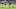 NFL: Super Bowl LI-New England Patriots vs Atlanta Falcons NFL: Super Bowl LI-New England Patriots vs Atlanta Falcons