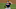 Chicago Cubs Jose Quintana Chicago Cubs Jose Quintana