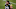 Green Bay Packers Green Bay Packers