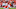 Kansas City Chiefs kicker Cairo Santos Kansas City Chiefs kicker Cairo Santos
