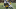 Houston Texans Houston Texans