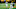 Michigan Football: Erick All