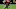 Chicago Bears, Chris Godwin Chicago Bears, Chris Godwin