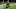 Green Bay Packers Green Bay Packers