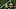 CHESTNUT HILL, MA – SEPTEMBER 16: Josh Adams