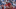 Wisconsin Football -Troy Fumagalli Wisconsin Football -Troy Fumagalli