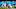 Chicago Bears, Teddy Bridgewater Chicago Bears, Teddy Bridgewater