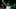 NBA NBA
