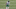 Bradley McDougald, New York Jets Bradley McDougald, New York Jets