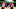 Philadelphia Eagles Philadelphia Eagles