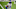 Los Angeles Rams Los Angeles Rams