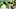 DETROIT, MICHIGAN – DECEMBER 13: Head coach Matt LaFleur of the Green Bay Packers talks with Davante Adams #17 of the Green Bay Packers before their game against the Detroit Lions at Ford Field on December 13, 2020 in Detroit, Michigan. (Photo by Rey Del Rio/Getty Images) DETROIT, MICHIGAN – DECEMBER 13: Head coach Matt LaFleur of the Green Bay Packers talks with Davante Adams #17 of the Green Bay Packers before their game against the Detroit Lions at Ford Field on December 13, 2020 in Detroit, Michigan. (Photo by Rey Del Rio/Getty Images)