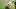World Wide Technology Championship, El Cardonal, PGA Tour, FedEx Cup Fall, Tiger Woods World Wide Technology Championship, El Cardonal, PGA Tour, FedEx Cup Fall, Tiger Woods